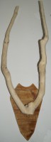 Holzgeweih 2